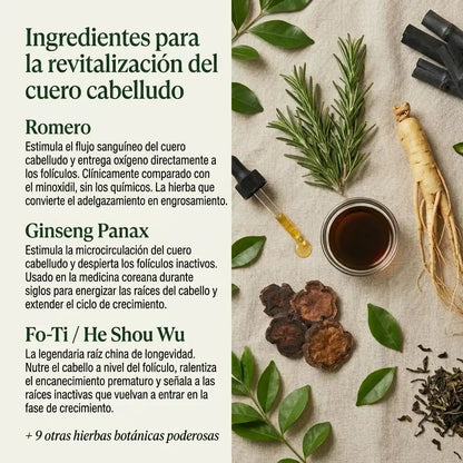 Shampoo de revitalización capilar coreana