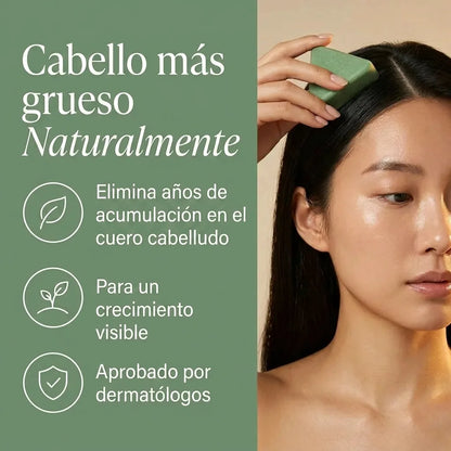 Shampoo de revitalización capilar coreana